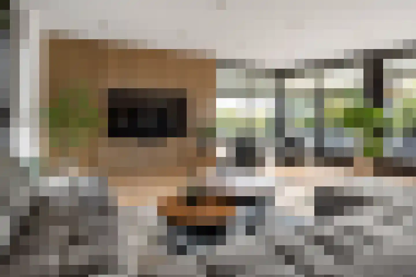 Buxtehudelaan 43 Nieuwegein thumbnail 17