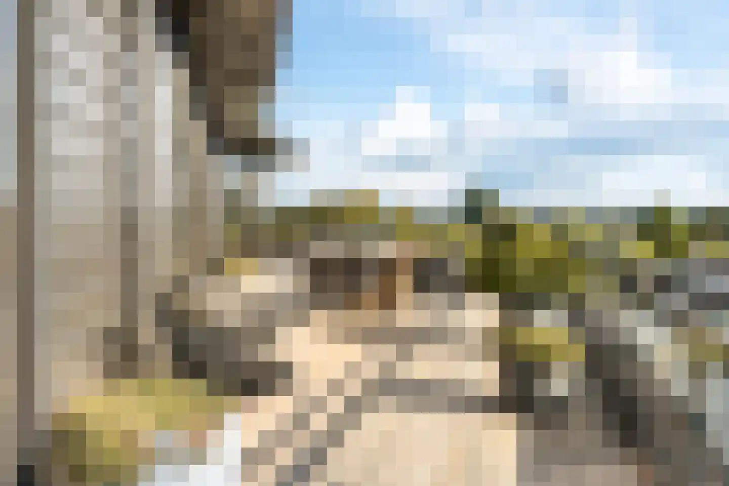 Buxtehudelaan 43 Nieuwegein thumbnail 24