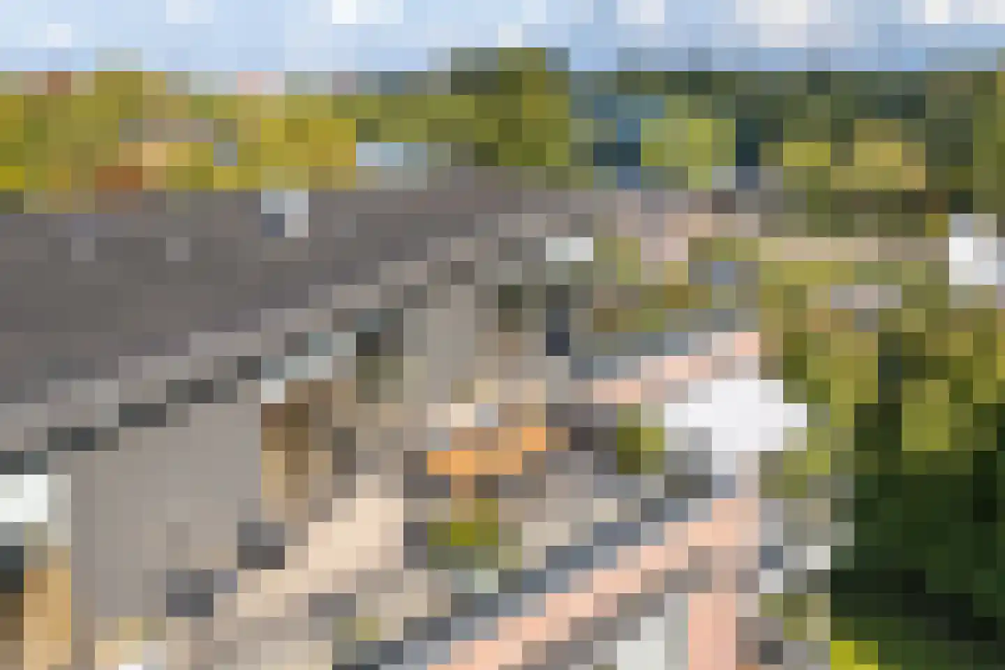 Buxtehudelaan 43 Nieuwegein thumbnail 28