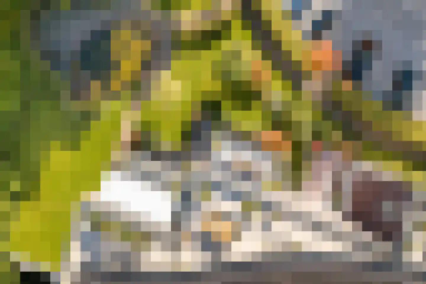 Buxtehudelaan 43 Nieuwegein thumbnail 30