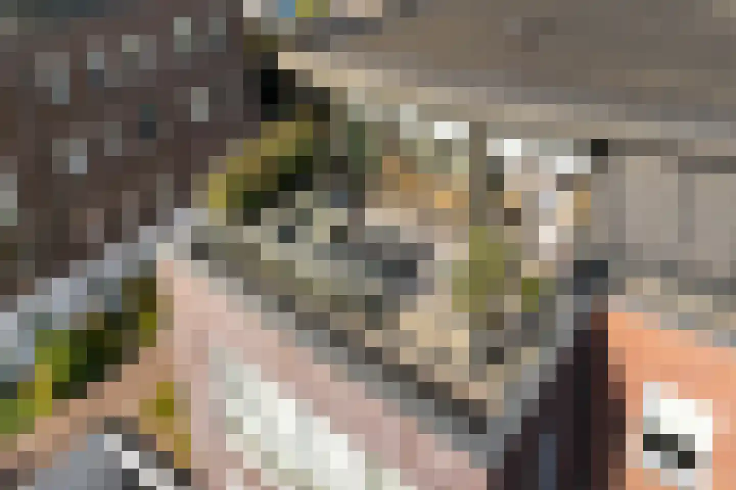 Buxtehudelaan 43 Nieuwegein thumbnail 38
