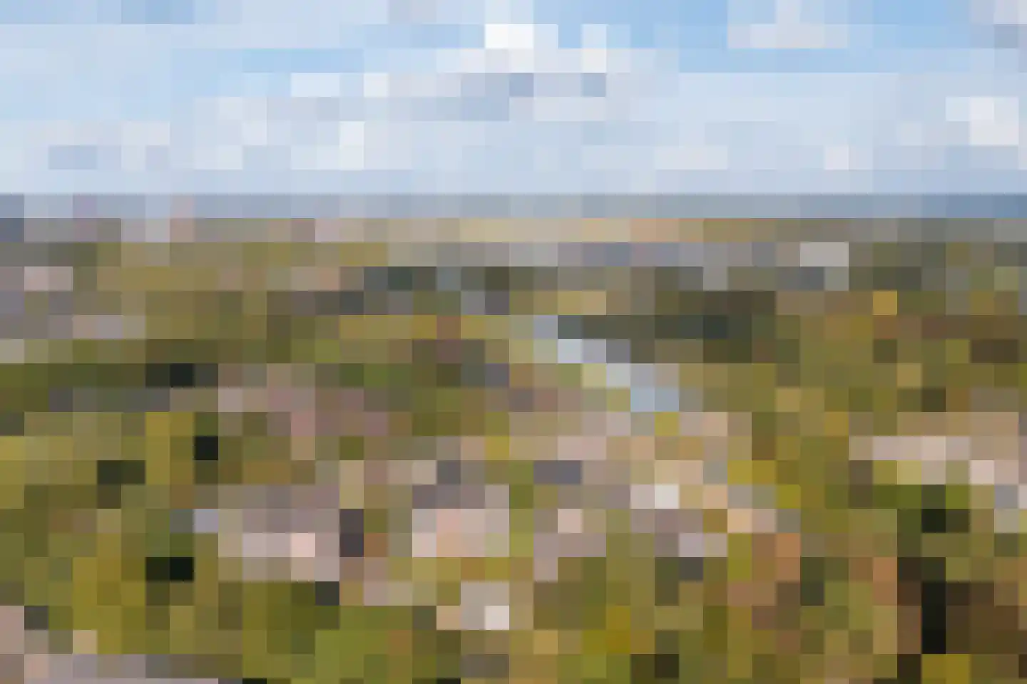 Buxtehudelaan 43 Nieuwegein thumbnail 50