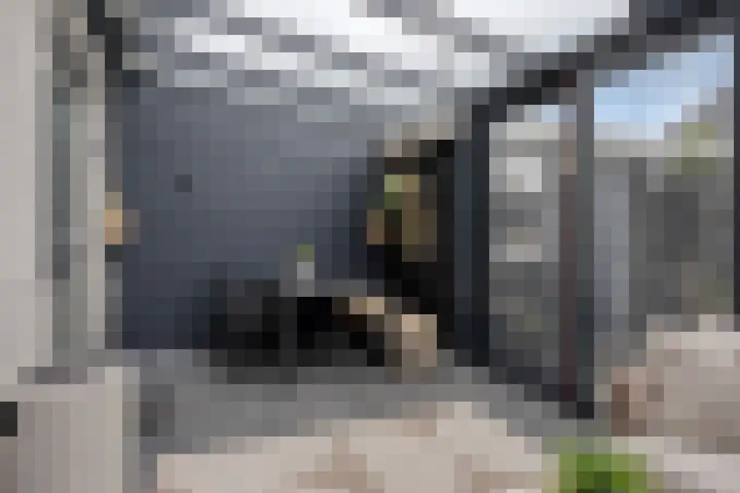 Buxtehudestraat 46 Zwolle thumbnail 11