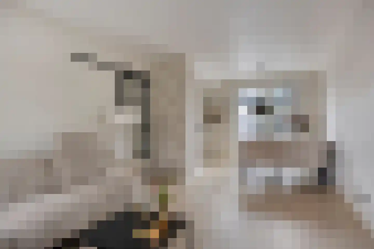 Buxtehudestraat 46 Zwolle thumbnail 4