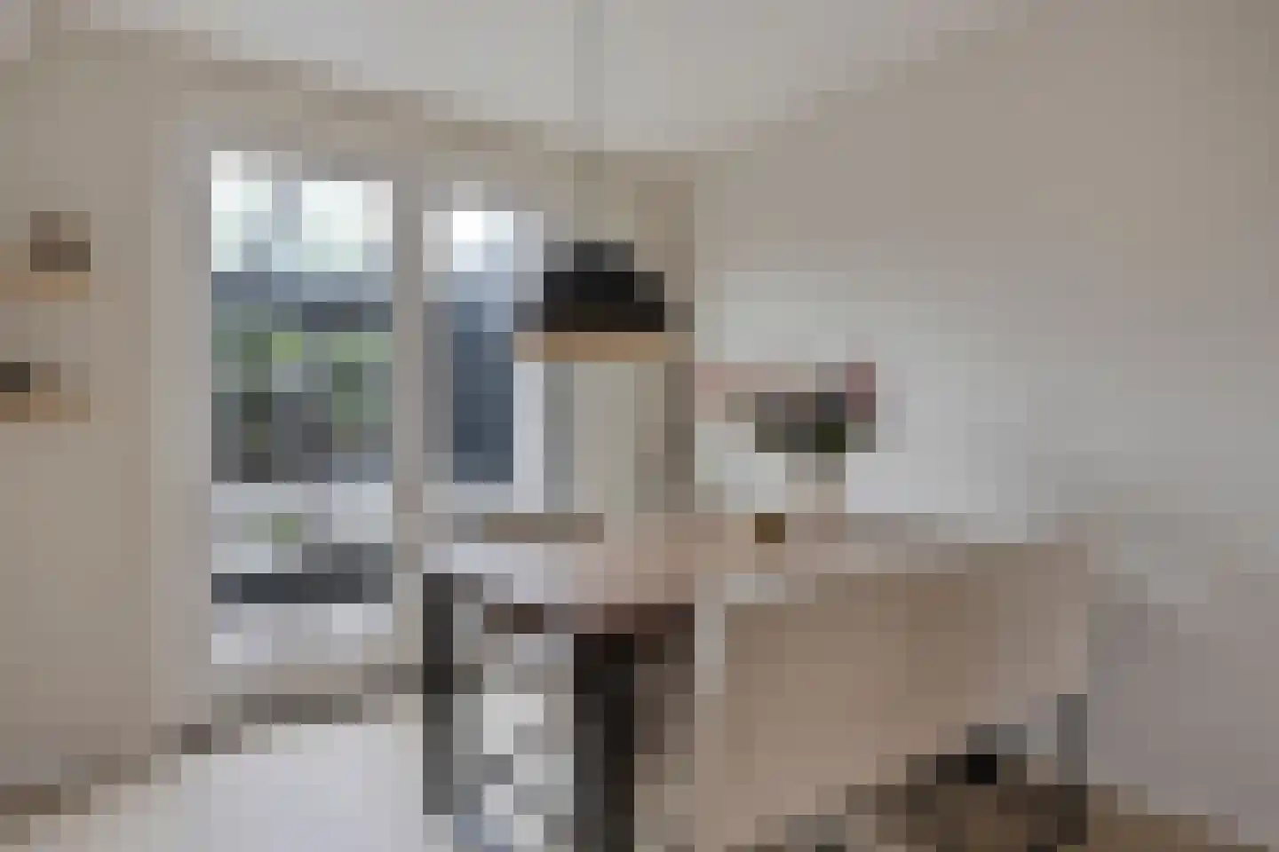 Buxtehudestraat 46 Zwolle thumbnail 5