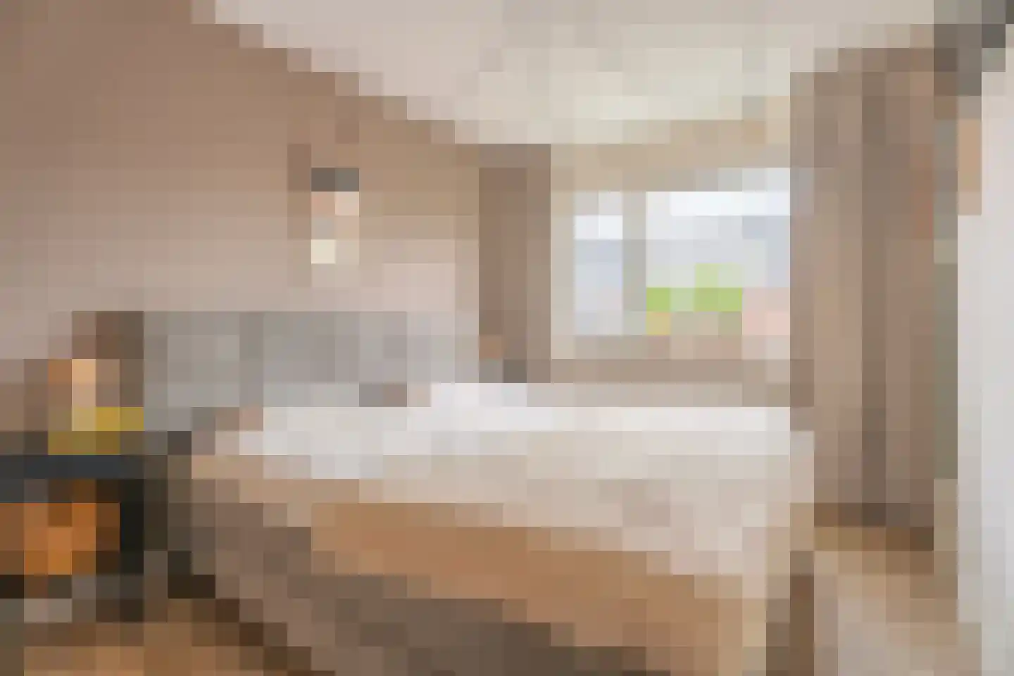 Buxushaag 13 Voorhout thumbnail 10