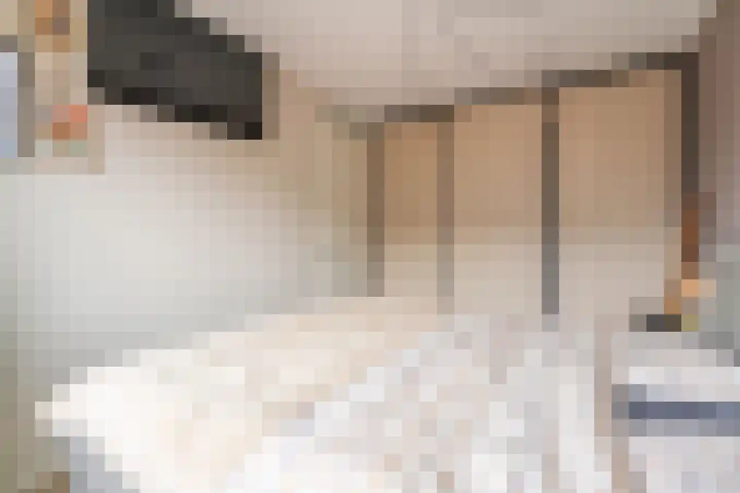 Buxushaag 13 Voorhout thumbnail 11