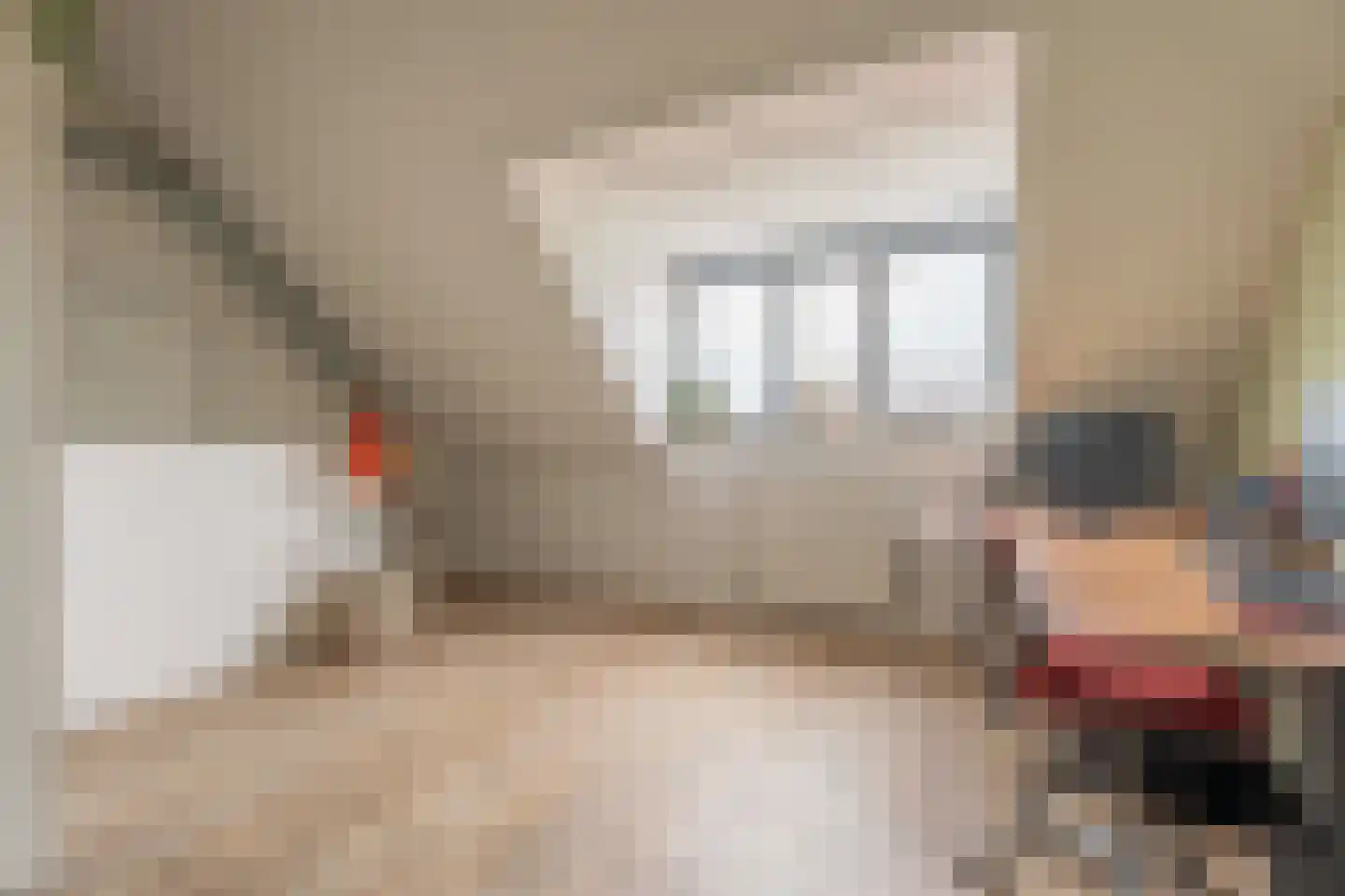 Buxushaag 13 Voorhout thumbnail 19