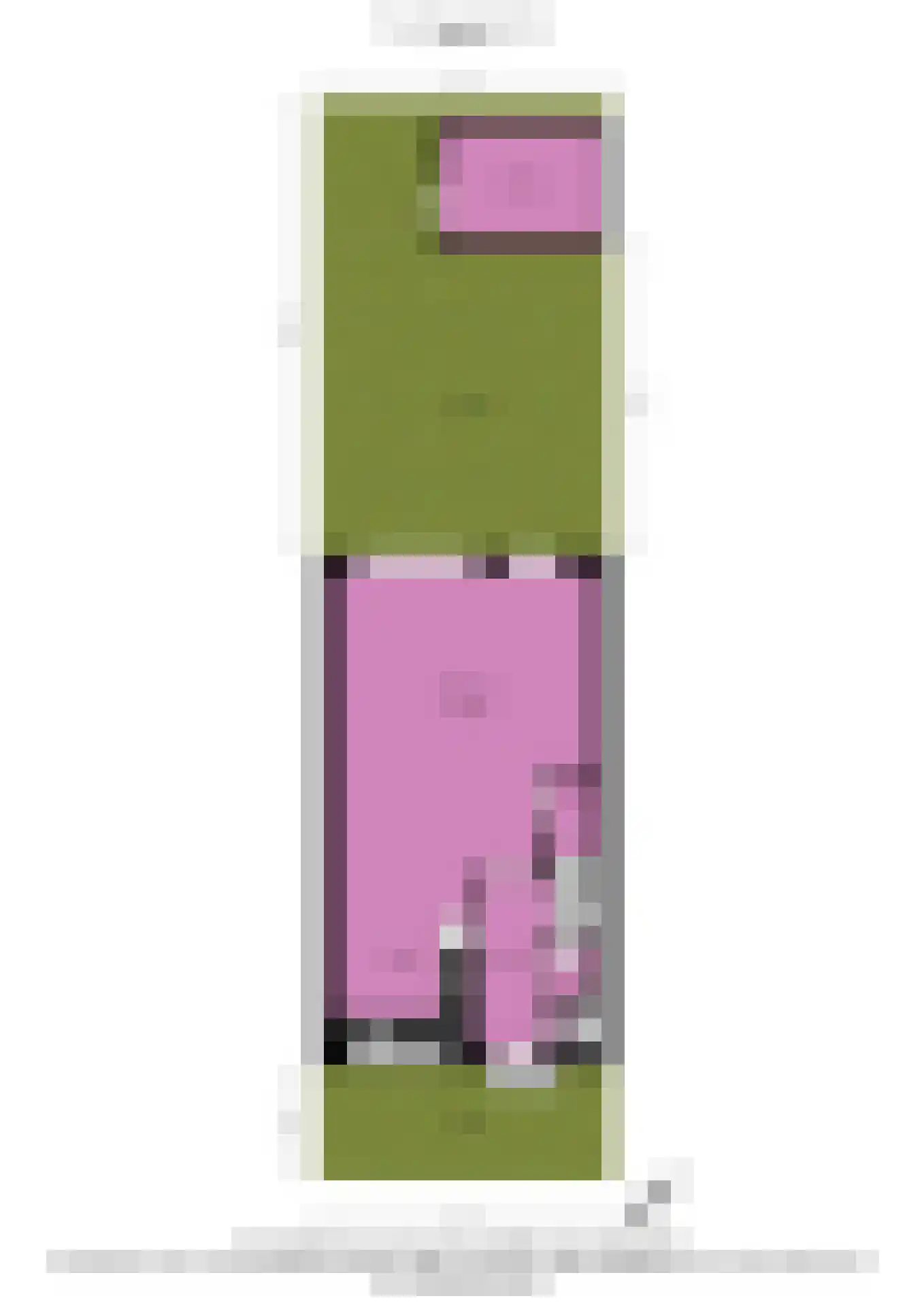Buxushaag 13 Voorhout thumbnail 36