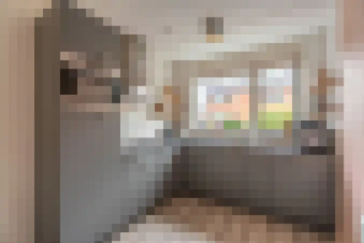 Buxushaag 13 Voorhout thumbnail 7