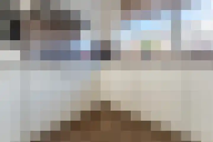 Buxushaag 15 Voorhout thumbnail 11