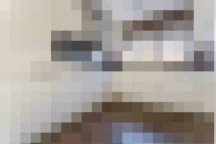 Buxushaag 15 Voorhout thumbnail 12