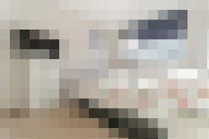 Buxushaag 15 Voorhout thumbnail 16