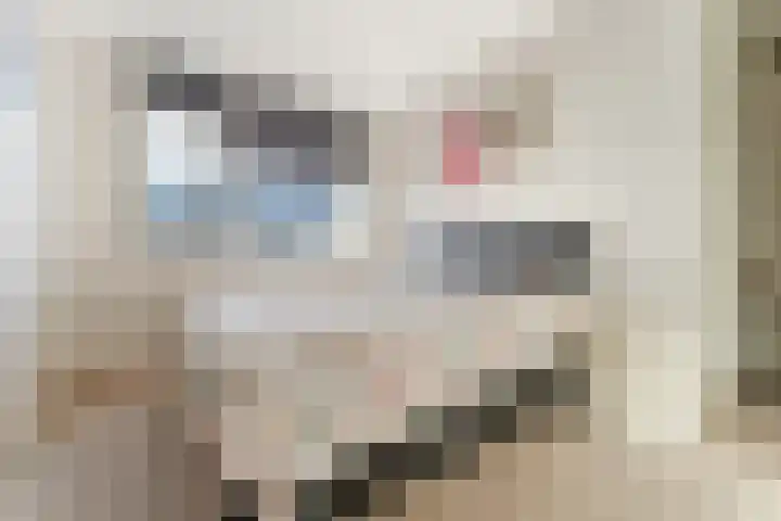 Buxushaag 15 Voorhout thumbnail 17