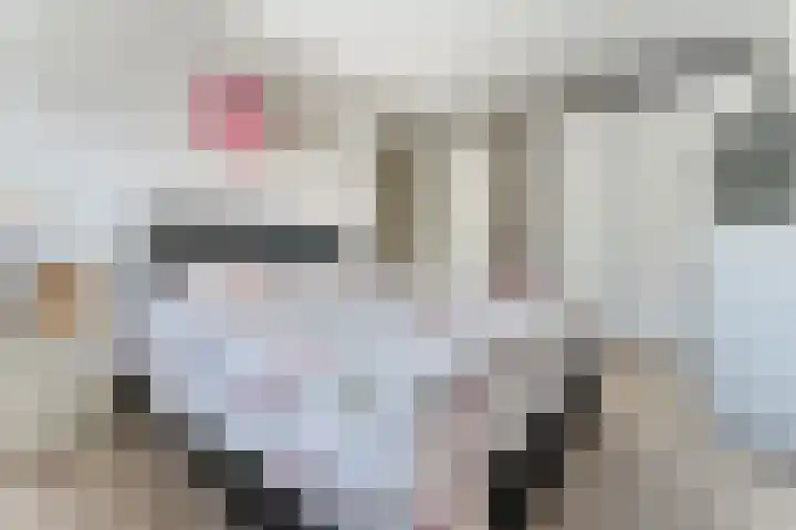 Buxushaag 15 Voorhout thumbnail 18