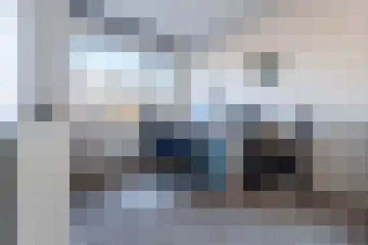 Buxushaag 15 Voorhout thumbnail 19