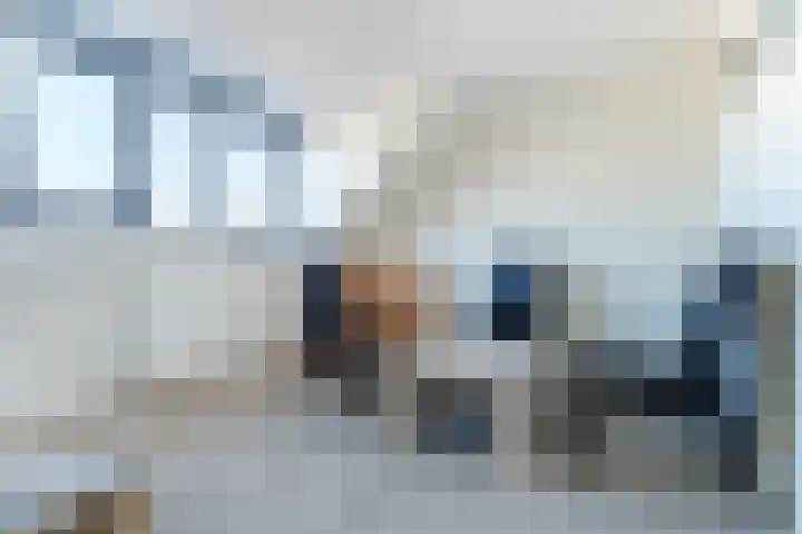 Buxushaag 15 Voorhout thumbnail 32