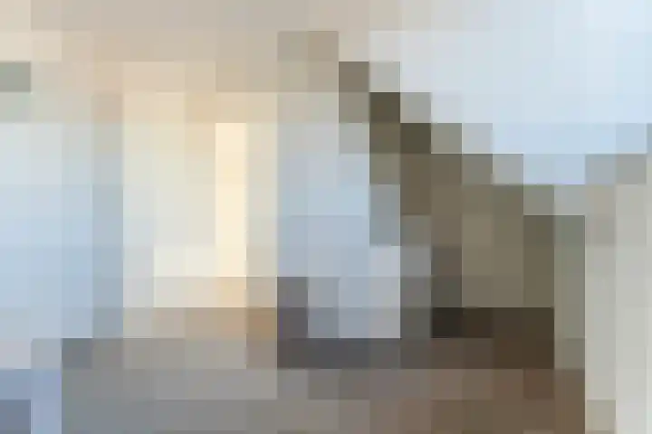 Buxushaag 15 Voorhout thumbnail 34