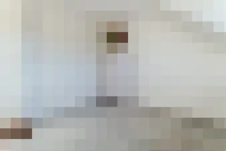 Buxushaag 15 Voorhout thumbnail 36