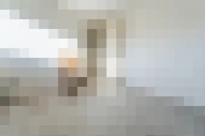 Buxushaag 15 Voorhout thumbnail 37