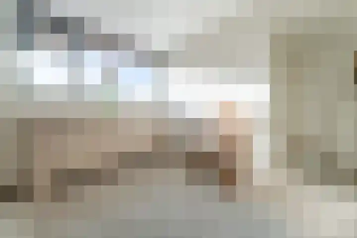 Buxushaag 15 Voorhout thumbnail 38
