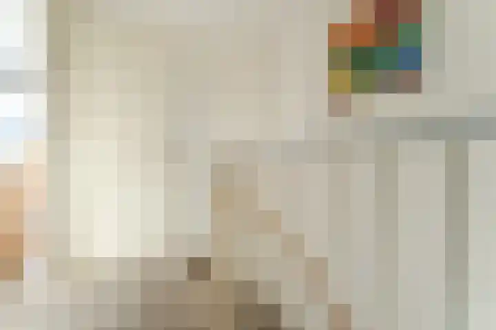 Buxushaag 15 Voorhout thumbnail 40