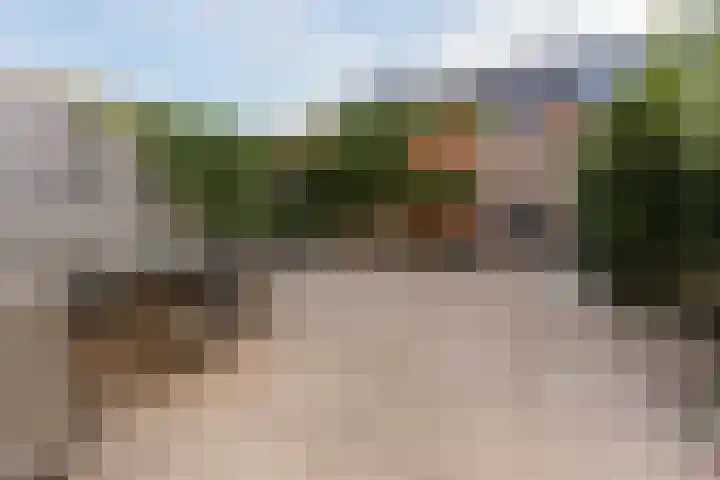 Buxushaag 15 Voorhout thumbnail 41