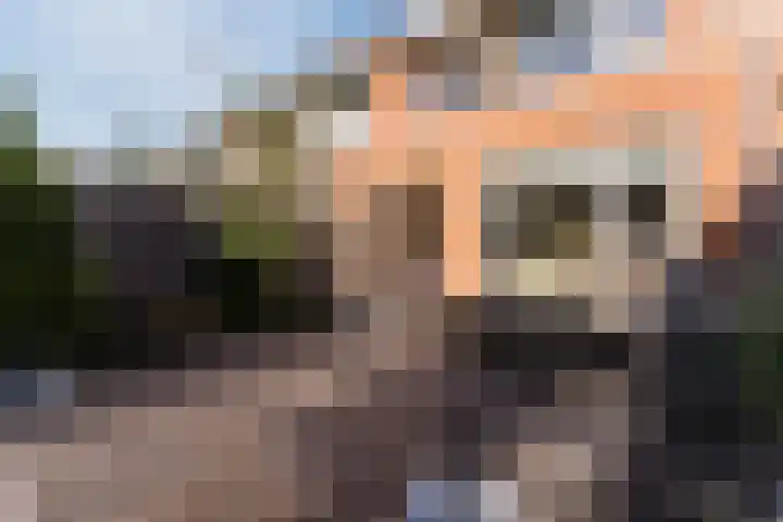 Buxushaag 15 Voorhout thumbnail 43