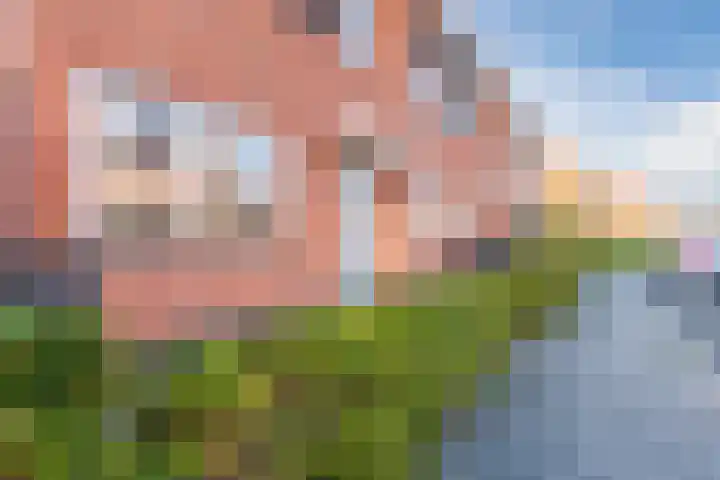 Buxushaag 15 Voorhout thumbnail 44