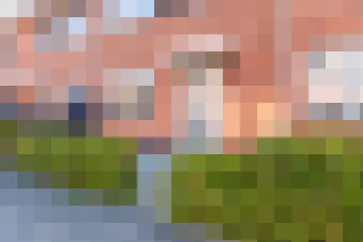 Buxushaag 15 Voorhout thumbnail 45
