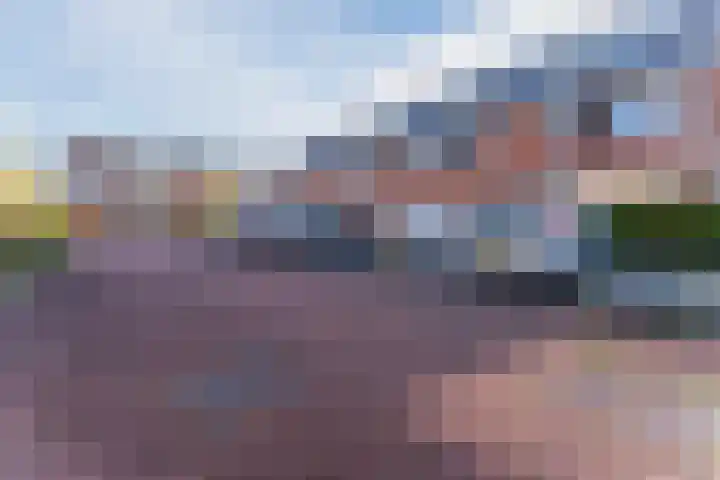 Buxushaag 15 Voorhout thumbnail 49