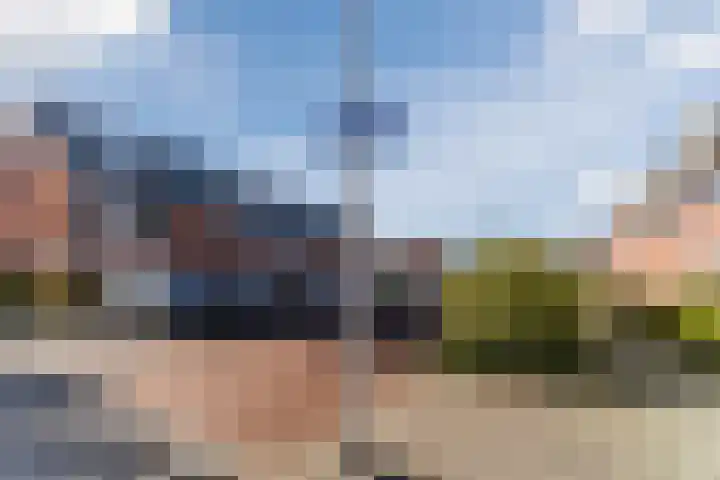 Buxushaag 15 Voorhout thumbnail 50