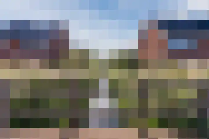 Buxushaag 15 Voorhout thumbnail 51