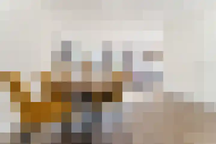 Buxushaag 15 Voorhout thumbnail 8