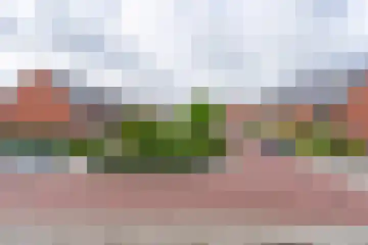 Buxushaag 16 Voorhout thumbnail 16