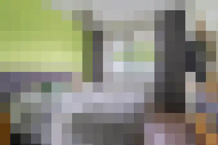 Buxushaag 16 Voorhout thumbnail 18
