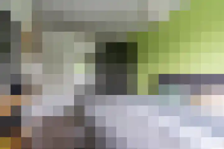 Buxushaag 16 Voorhout thumbnail 19