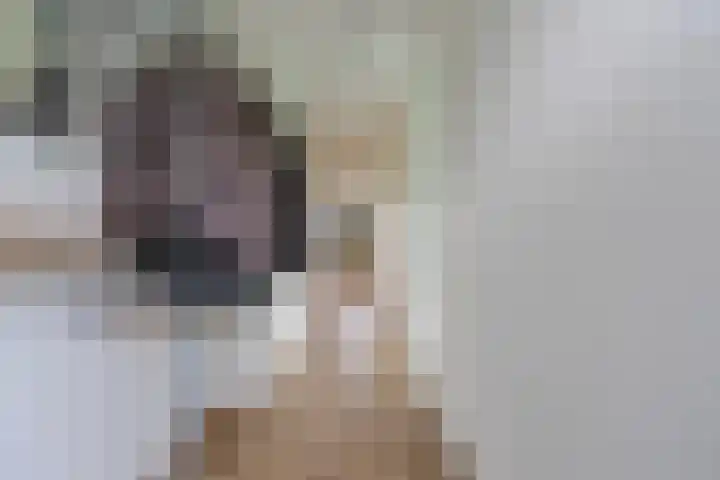 Buxushaag 16 Voorhout thumbnail 20