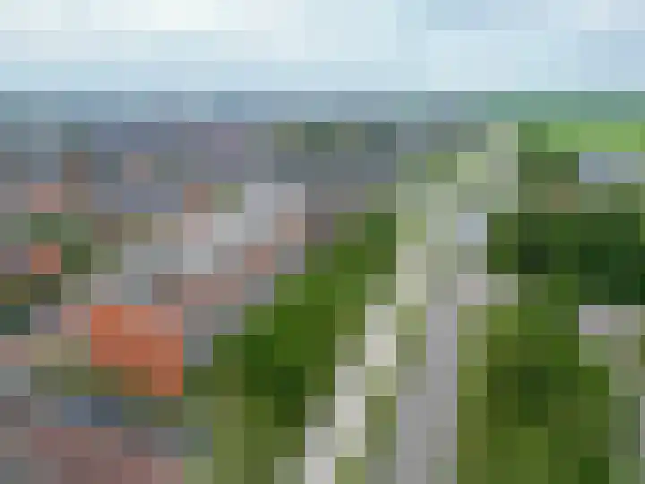 Buxushaag 16 Voorhout thumbnail 30