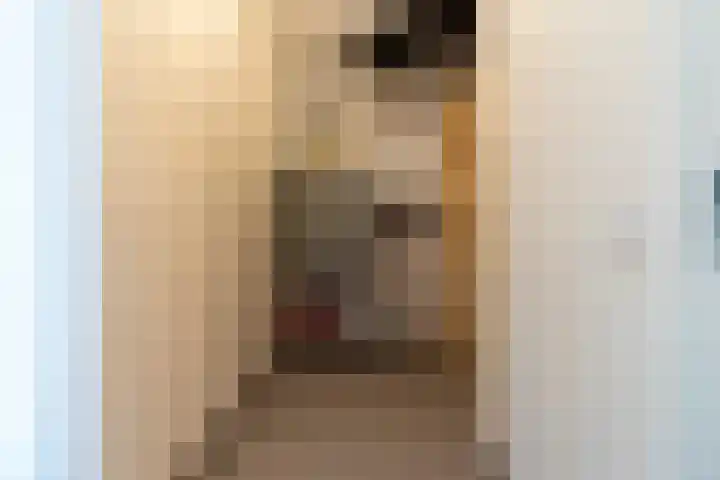 Buxushaag 38 Voorhout thumbnail 19
