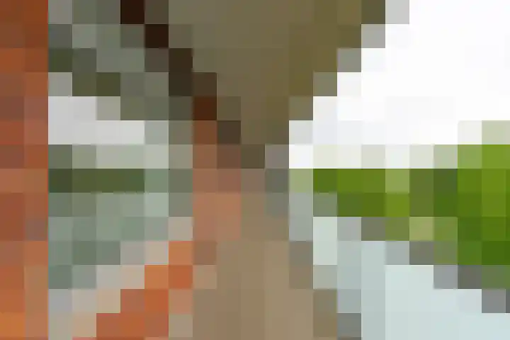 Buxushaag 38 Voorhout thumbnail 20