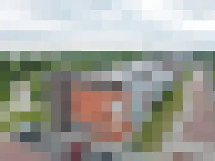 Buxushaag 38 Voorhout thumbnail 21