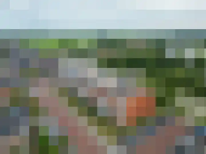 Buxushaag 38 Voorhout thumbnail 23