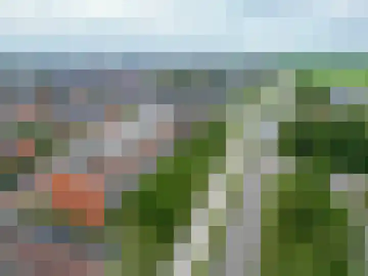 Buxushaag 38 Voorhout thumbnail 24