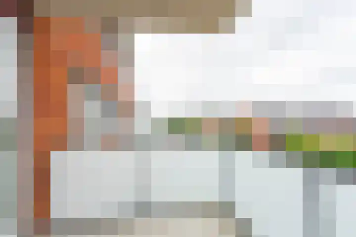 Buxushaag 38 Voorhout thumbnail 8