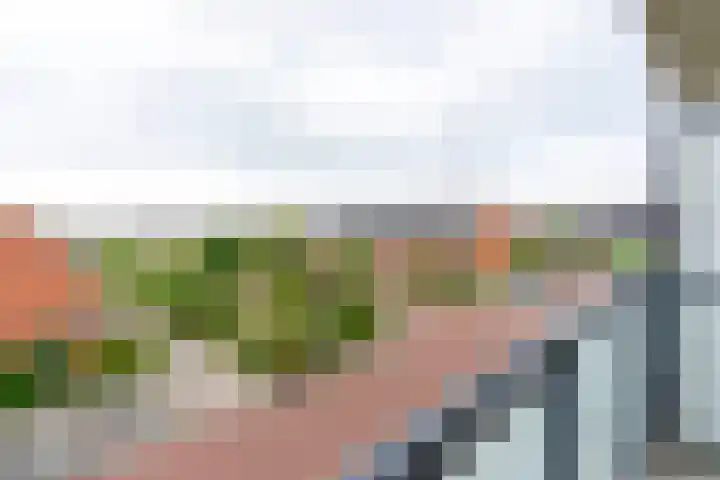 Buxushaag 38 Voorhout thumbnail 9