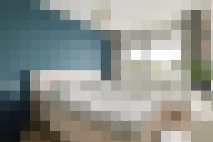 Buxushaag 40 Voorhout thumbnail 10