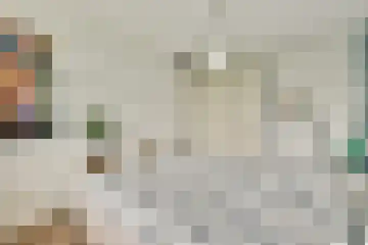 Buxushaag 40 Voorhout thumbnail 11