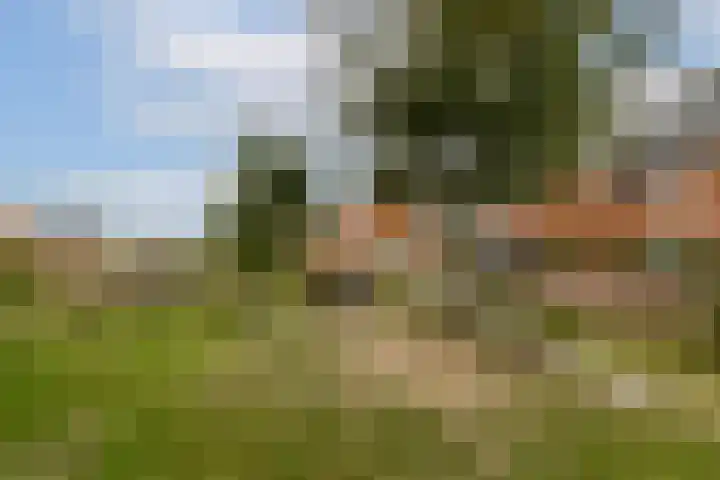 Buxushaag 40 Voorhout thumbnail 19
