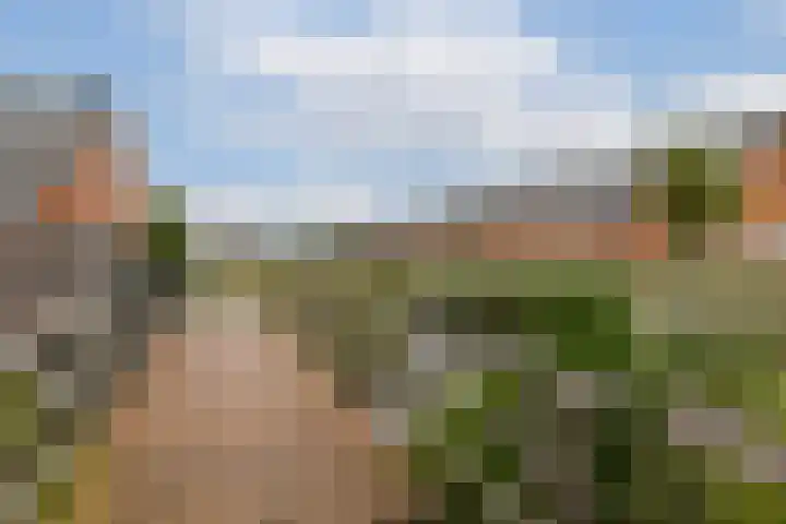 Buxushaag 40 Voorhout thumbnail 20